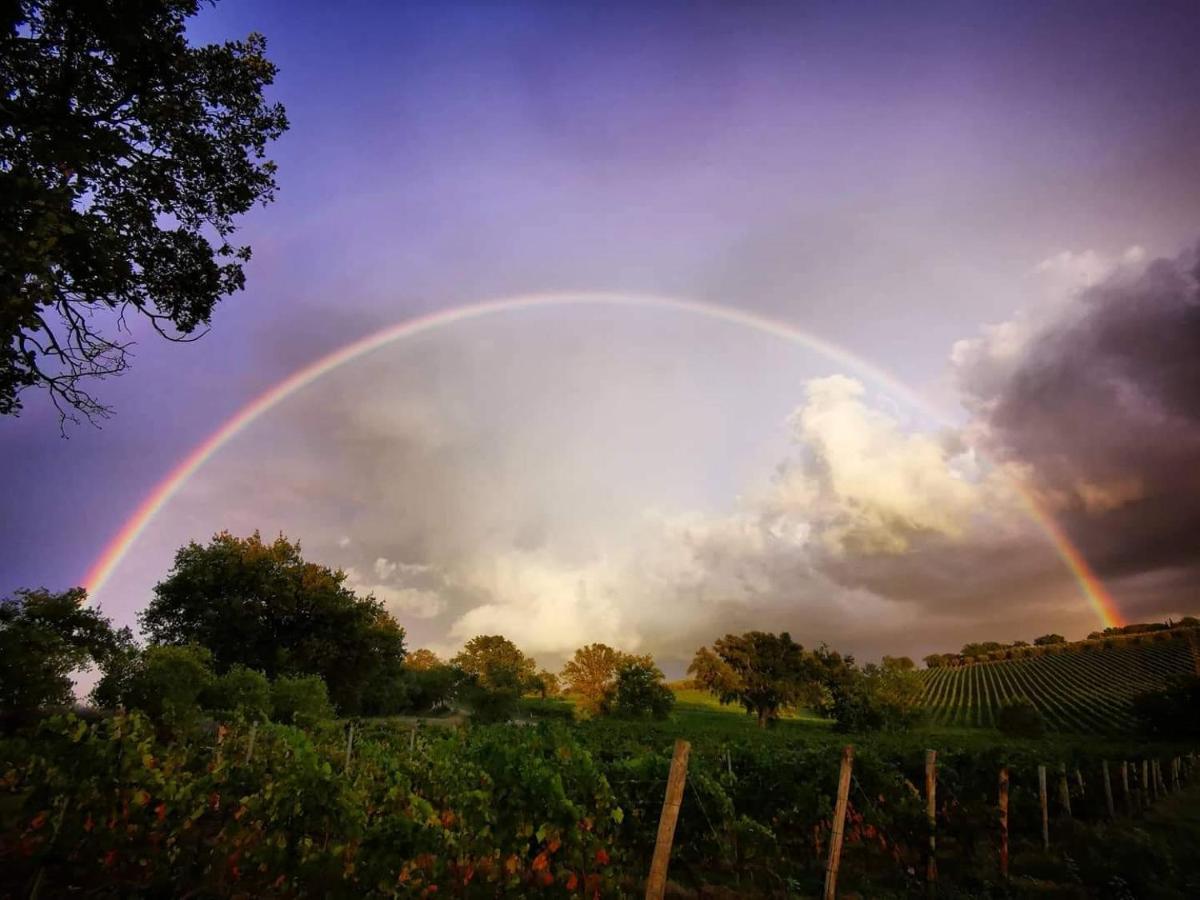 הוילה Istia dʼOmbrone Agriturismo Diaccialone מראה חיצוני תמונה